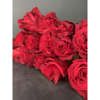 Троянда Фрідом