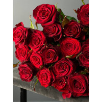 Троянда Престиж 